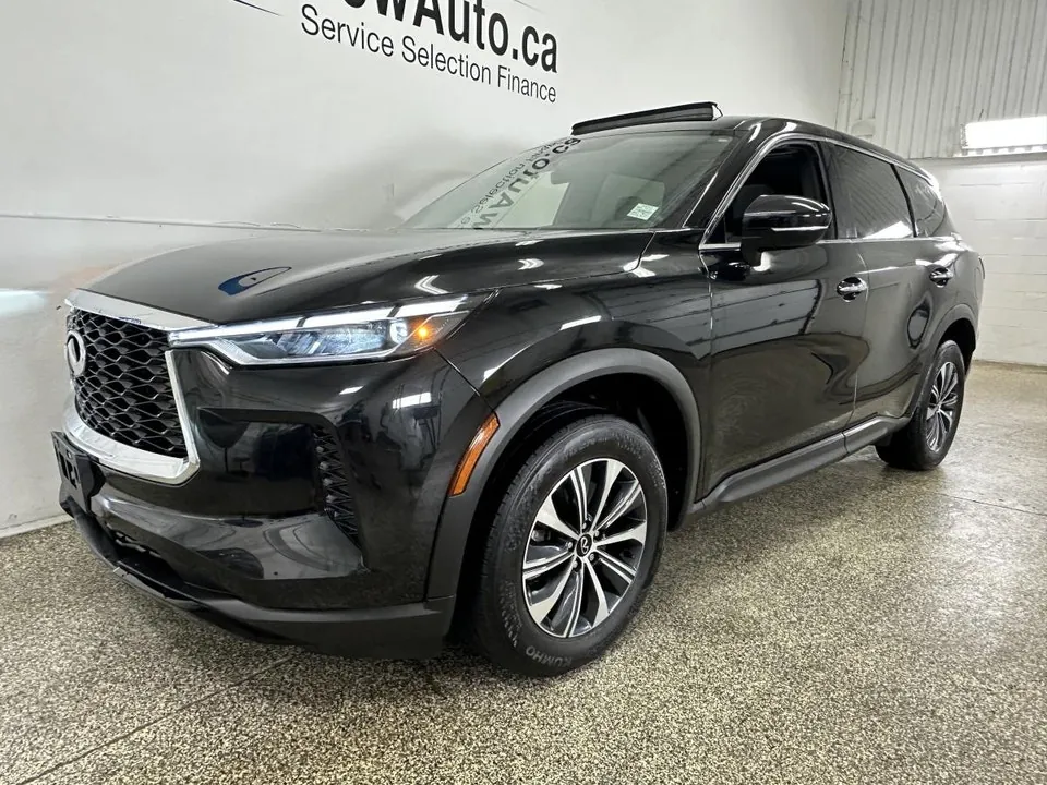 Infiniti Qx60 2024 photo 3
