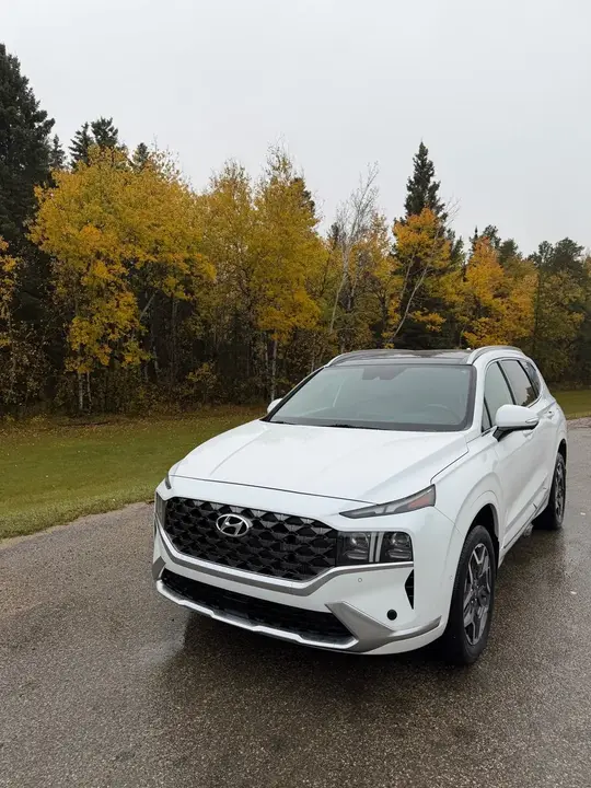 Hyundai Santa Fe 2021 photo 2