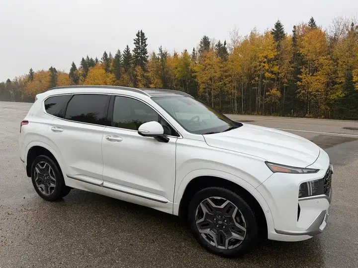 Hyundai Santa Fe 2021 photo 3