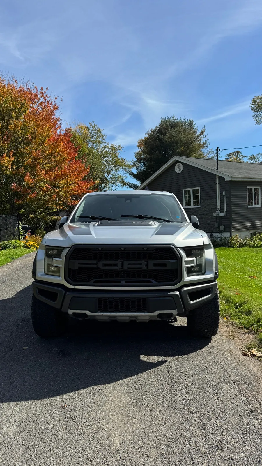 Ford F-150 Raptor 2017 photo 5