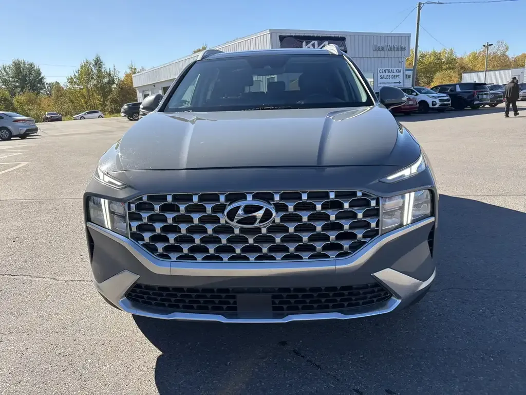 Hyundai Santa Fe 2021 photo 2