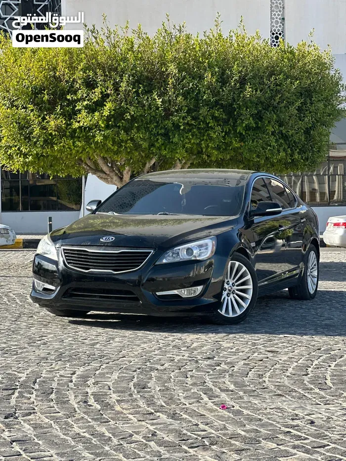 Kia Cadenza 2010 photo 3