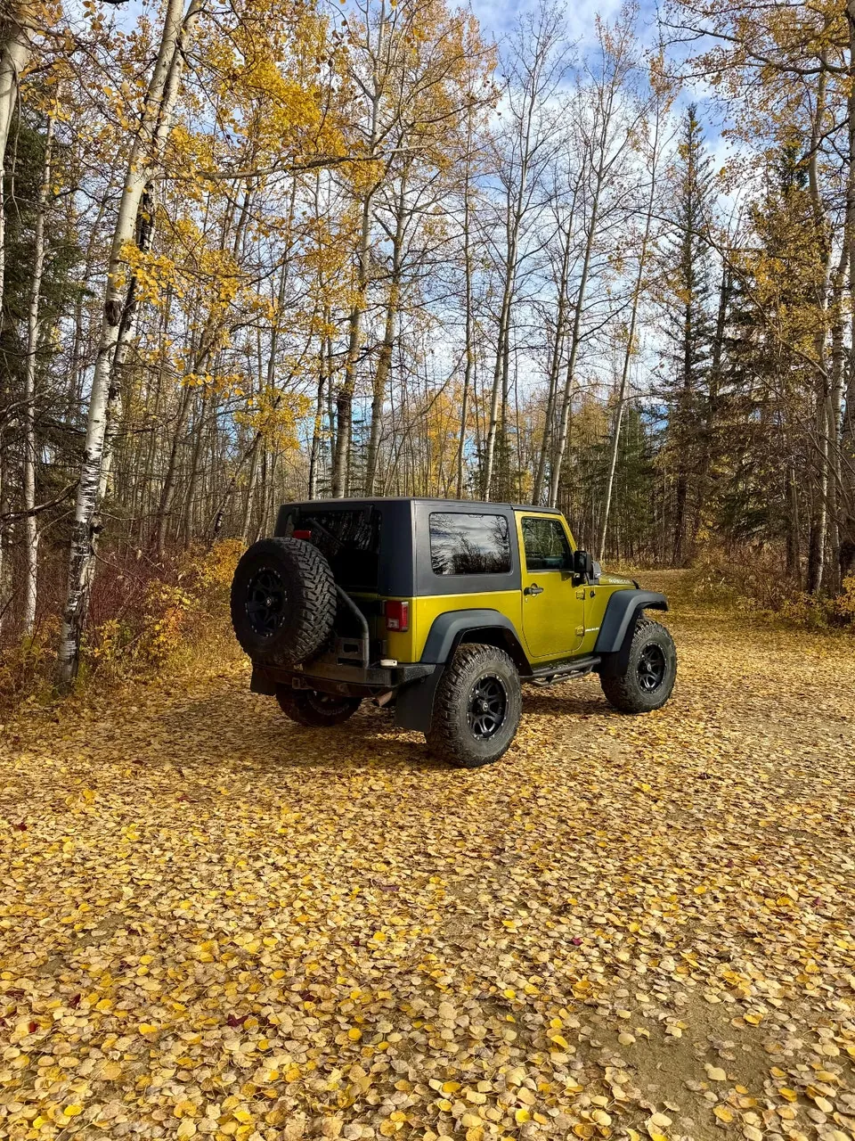 Jeep Wrangler 2008 photo 3