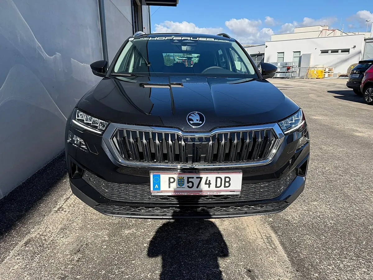 Skoda Karoq 2026 photo 3