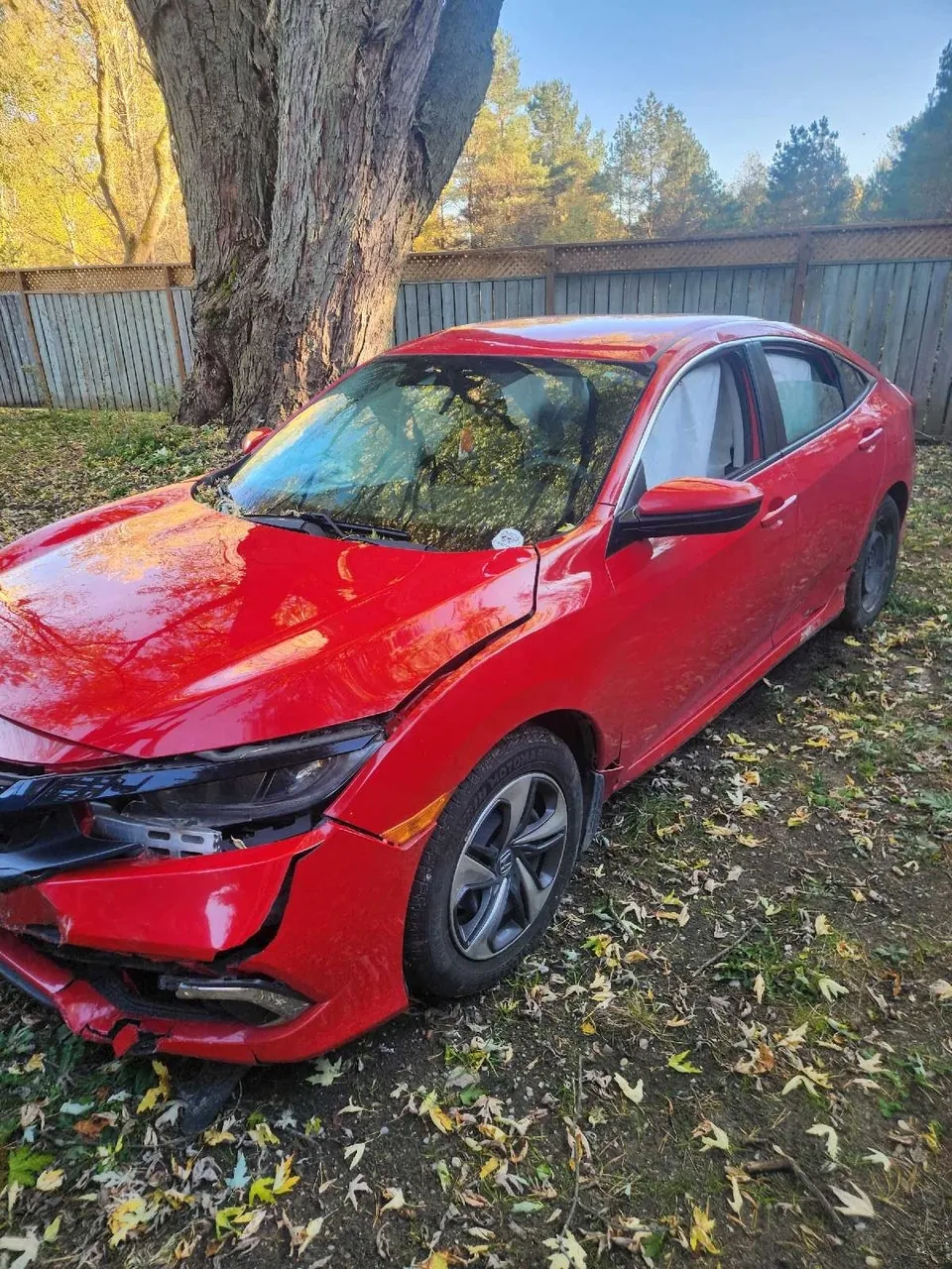 Honda Civic 2020 photo 5