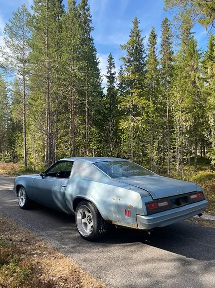 Chevrolet Malibu 1976 photo 5