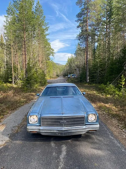 Chevrolet Malibu 1976 photo 3