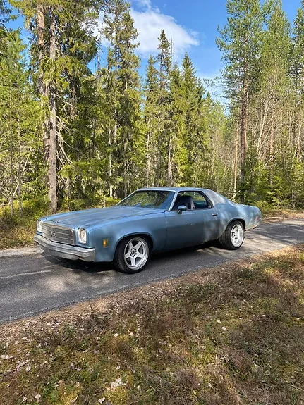 Chevrolet Malibu 1976 photo 2
