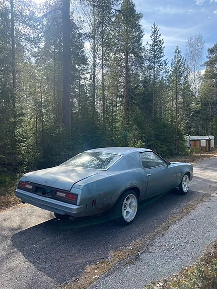 Chevrolet Malibu 1976 photo 4