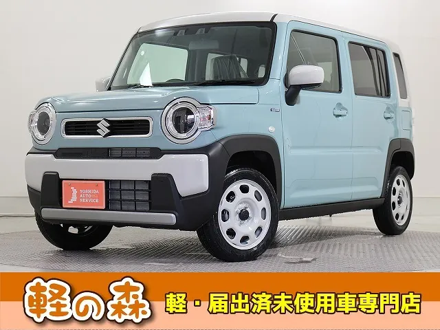 Suzuki Hailler