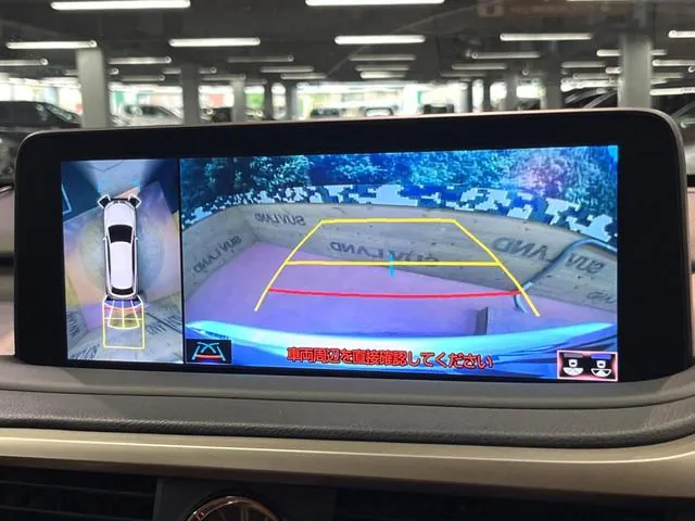 Lexus Rx 450H 2019 photo 5
