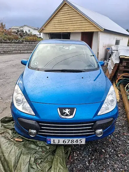 Peugeot 307