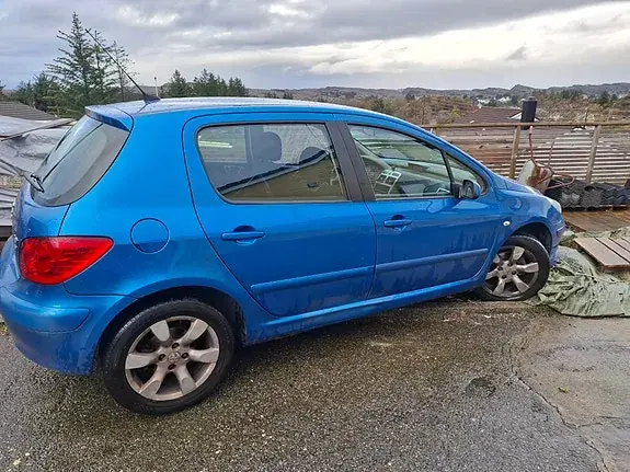Peugeot 307 2006 photo 2