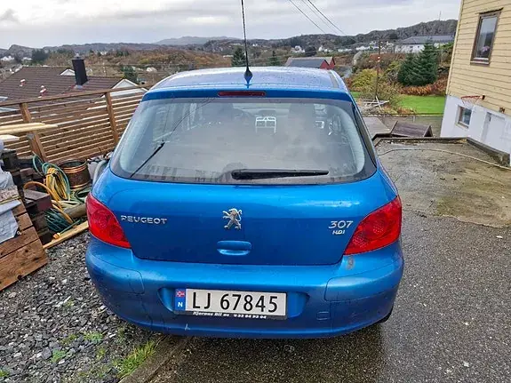 Peugeot 307 2006 photo 3