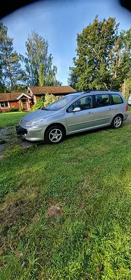 Peugeot 307 2007 photo 3