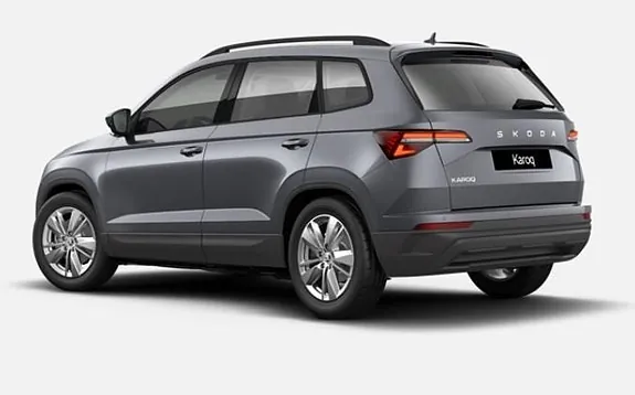 Skoda Karoq 2026 photo 2