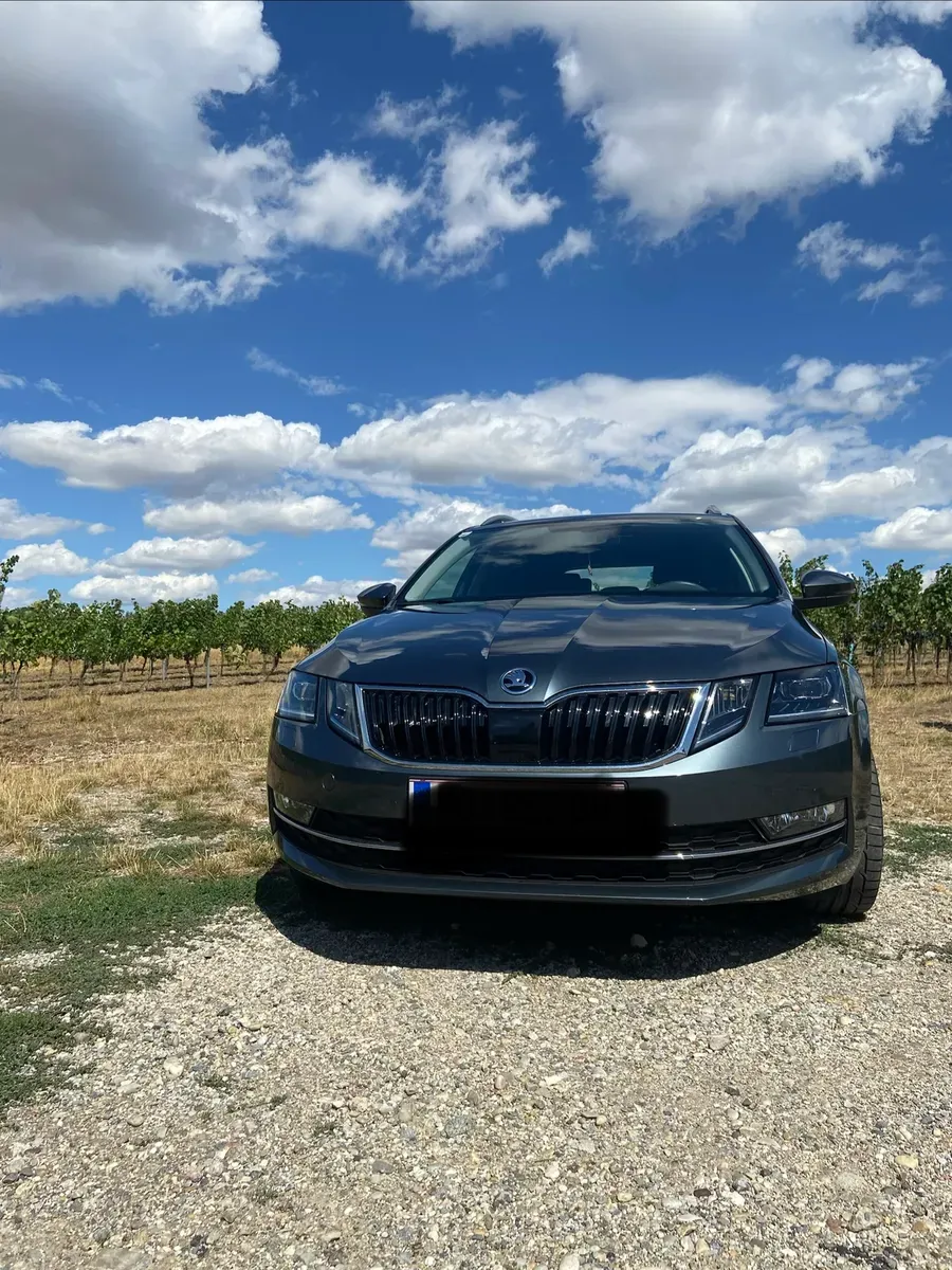Skoda Octavia 2020 photo 3