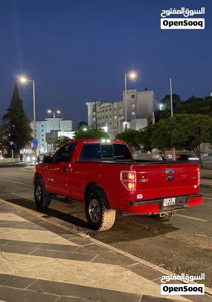 Ford F-150 2009 photo 2