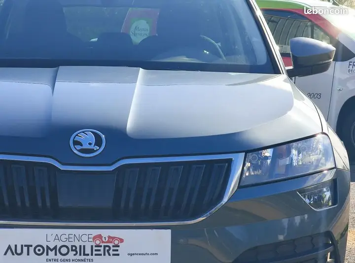 Skoda Karoq 2019 photo 3
