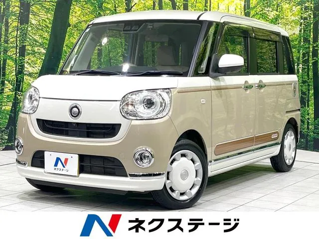 Daihatsu Mouve Canvas