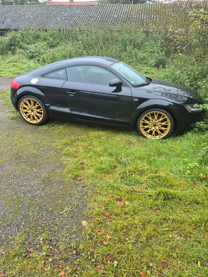 Audi Tt