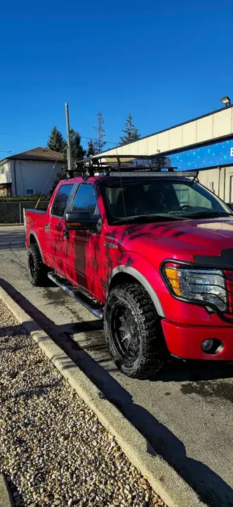 Ford F-150 2010 photo 3