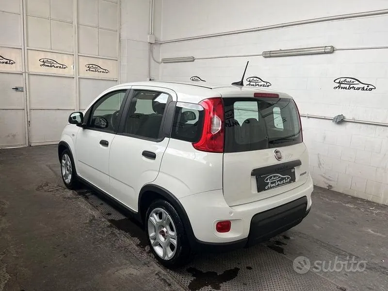 Fiat Panda 2024 photo 4