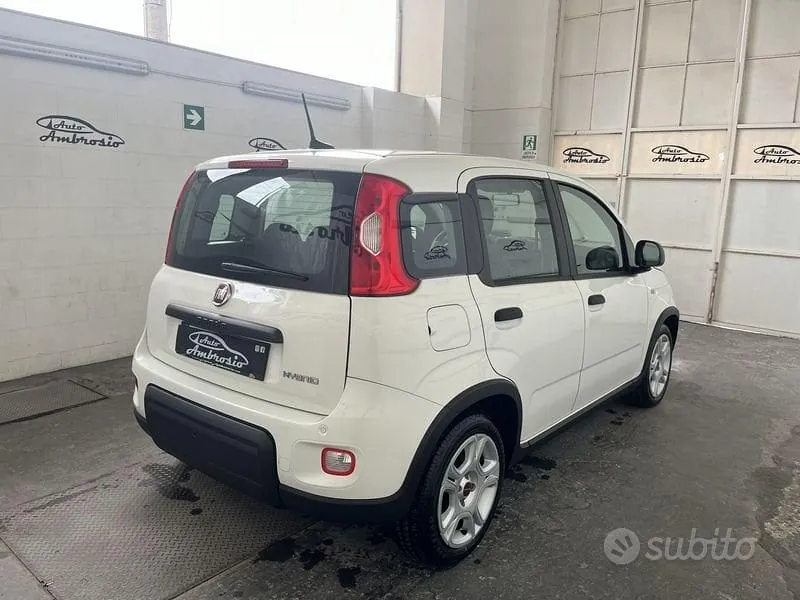 Fiat Panda 2024 photo 5