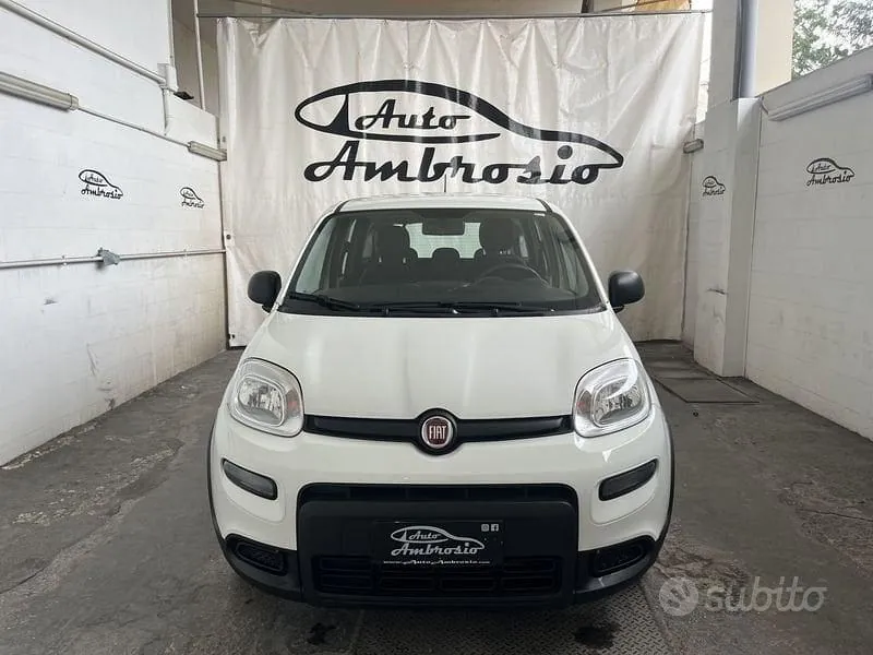 Fiat Panda 2024 photo 2
