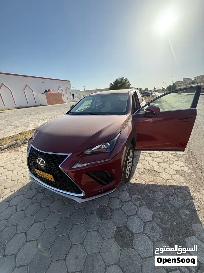 Lexus Nx 2016 photo 2
