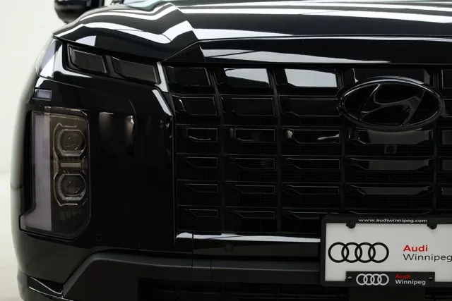 Hyundai Palisade 2025 photo 3