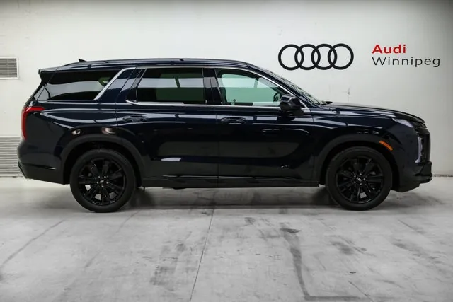 Hyundai Palisade 2025 photo 4
