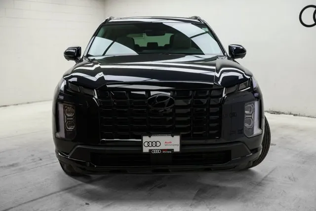 Hyundai Palisade 2025 photo 2