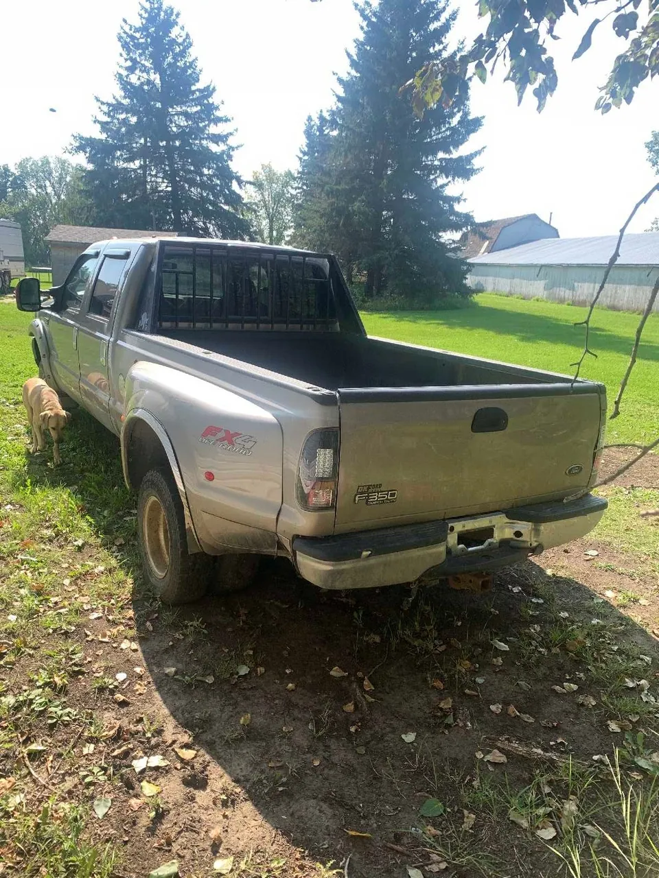 Ford F350 2003 photo 3