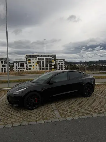 Tesla Model 3 2019 photo 3