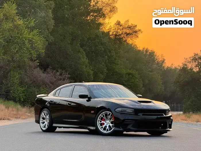 Dodge Charger 2021 photo 5