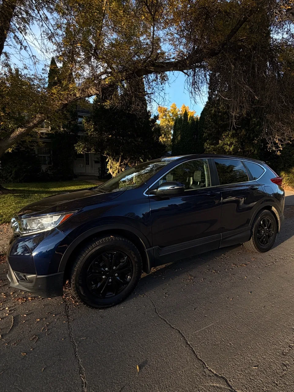 Honda Cr-V 2019 photo 4