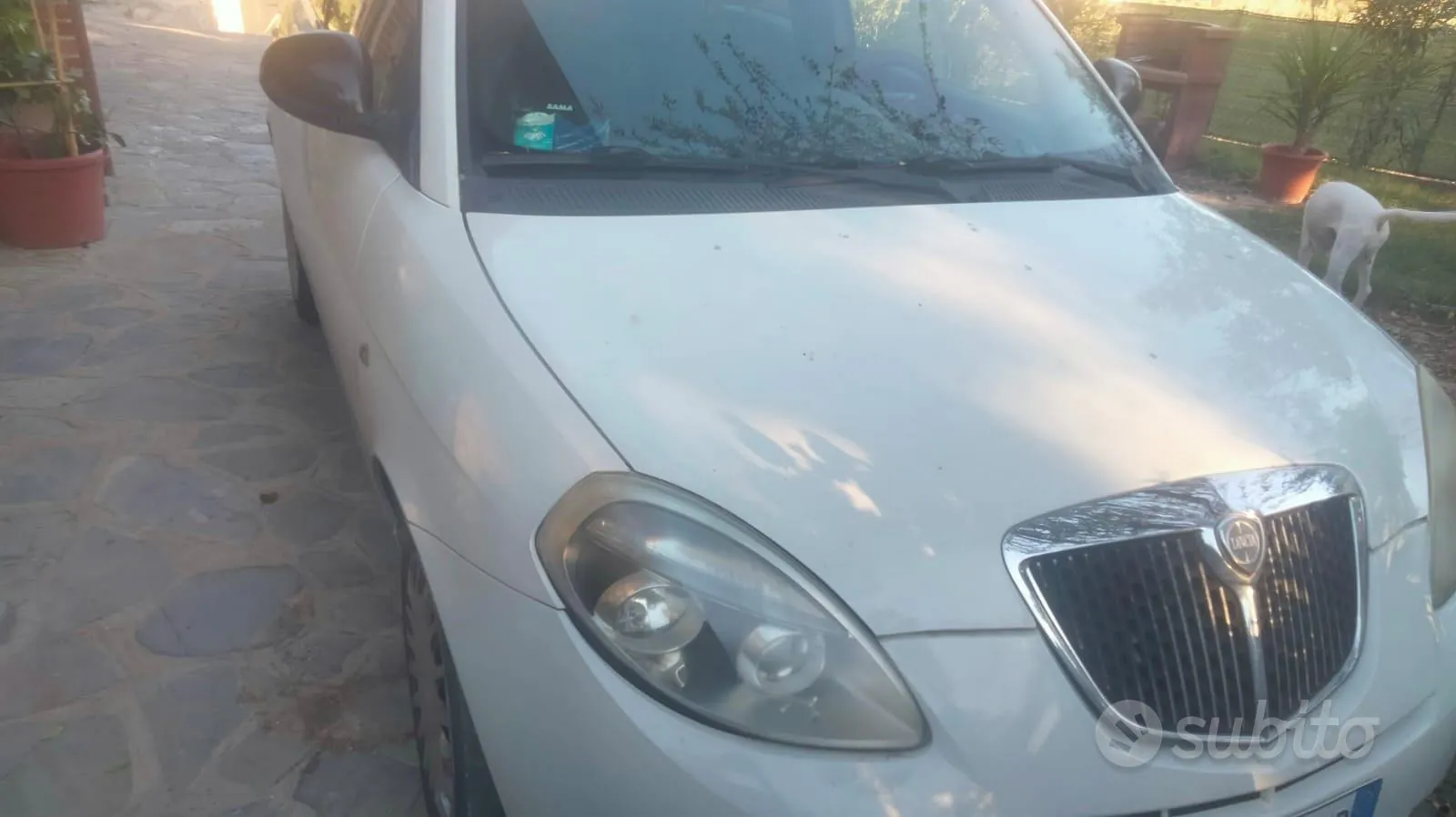 Lancia Ypsilon 2011 photo 3