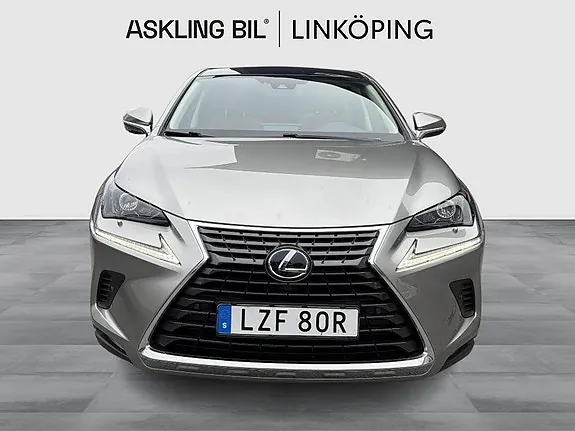 Lexus Nx300H 2019 photo 2