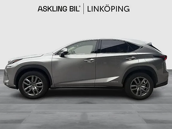 Lexus Nx300H 2019 photo 3
