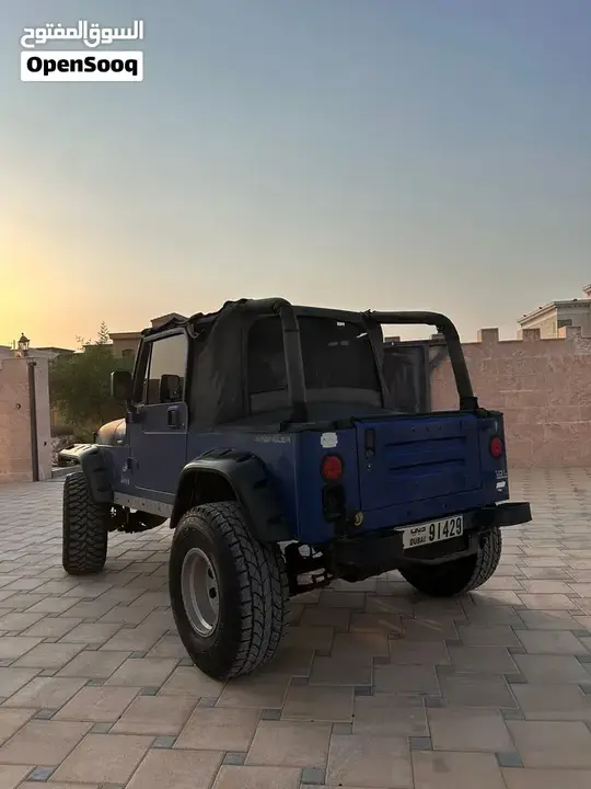 Jeep Wrangler 1994 photo 4