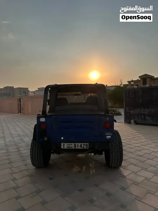 Jeep Wrangler 1994 photo 3