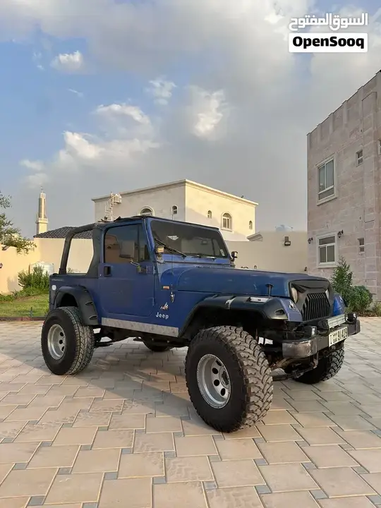 Jeep Wrangler 1994 photo 2