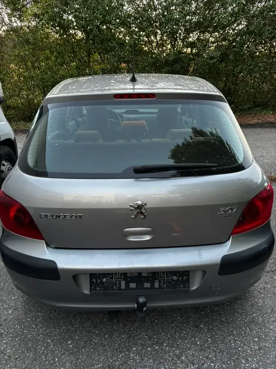Peugeot 307 2003 photo 2