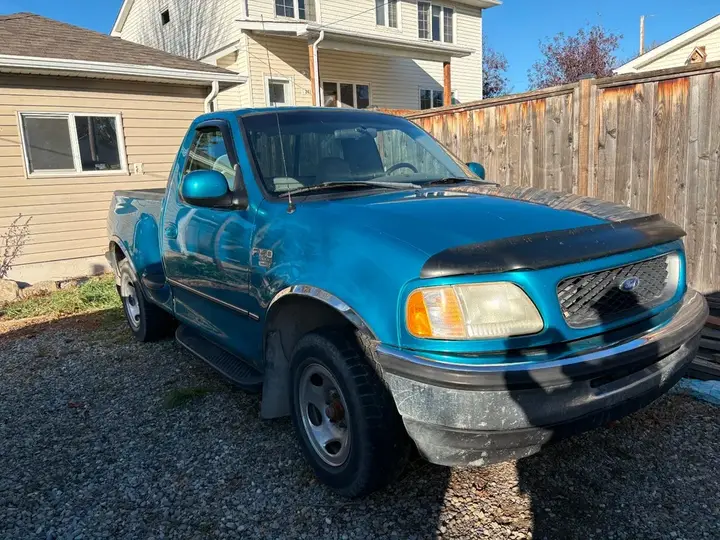 Ford F-150 1998 photo 3