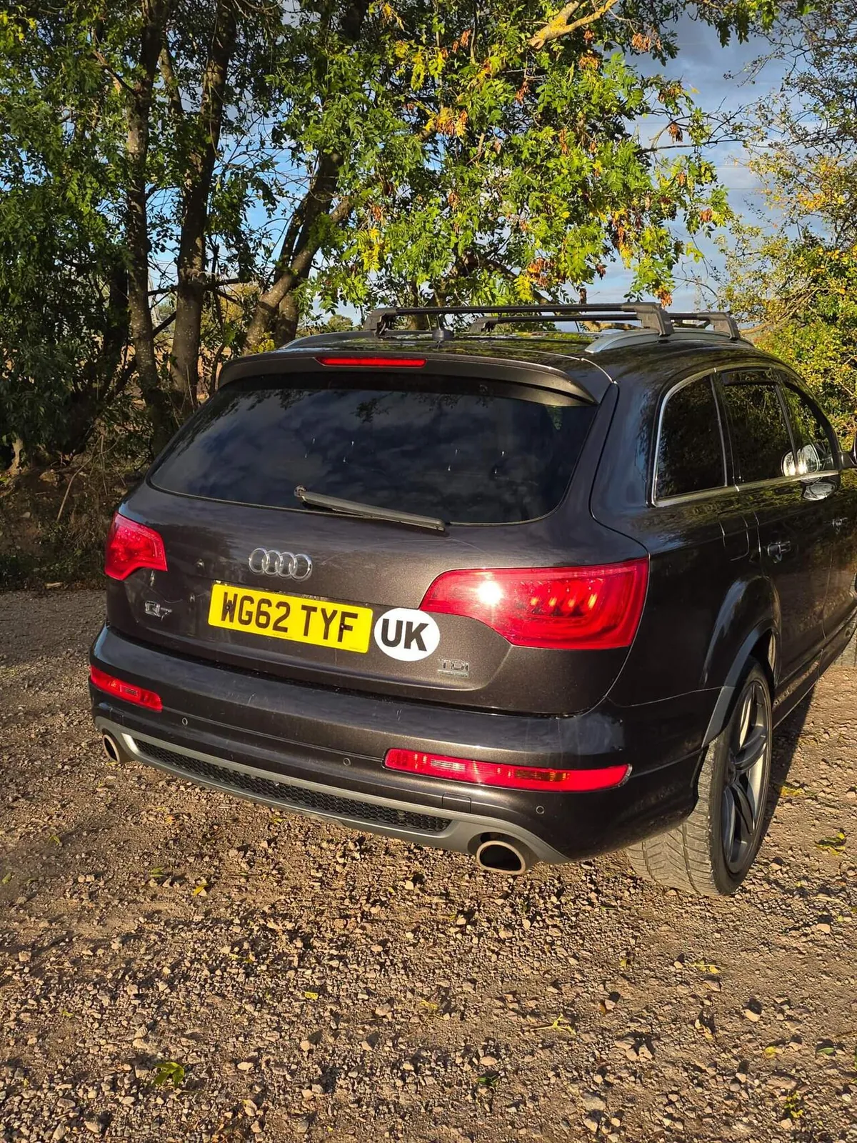 Audi Q7 2013 photo 5