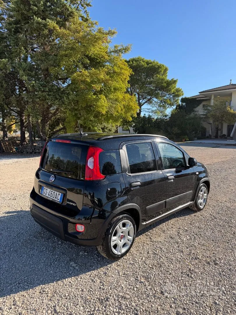 Fiat Panda 2023 photo 3