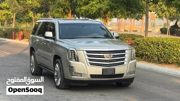 Cadillac Escalade 2016 photo 2