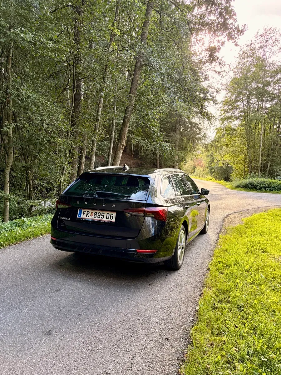 Skoda Octavia 2020 photo 3