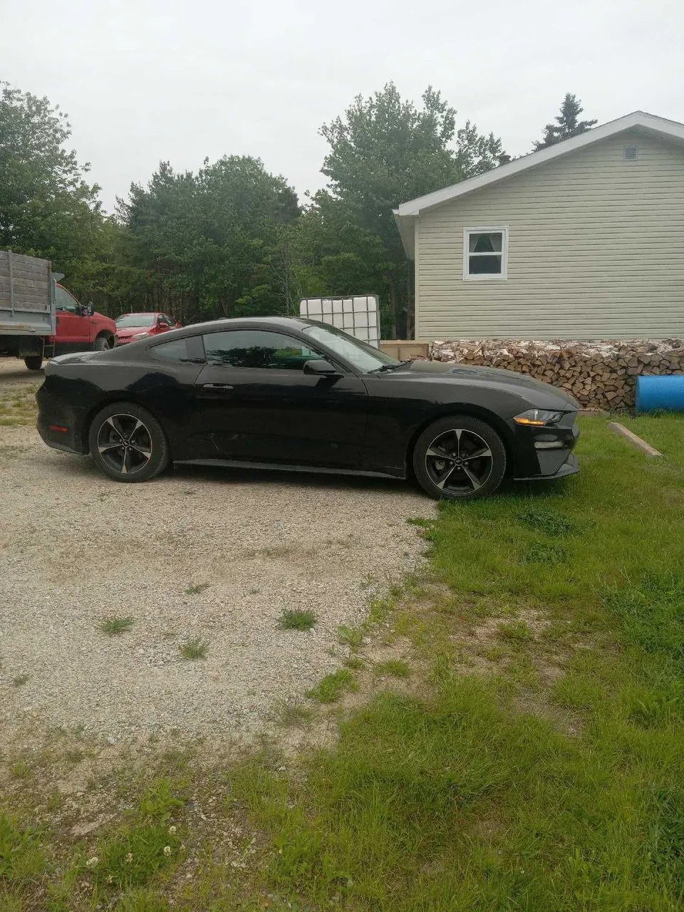 Ford Mustang